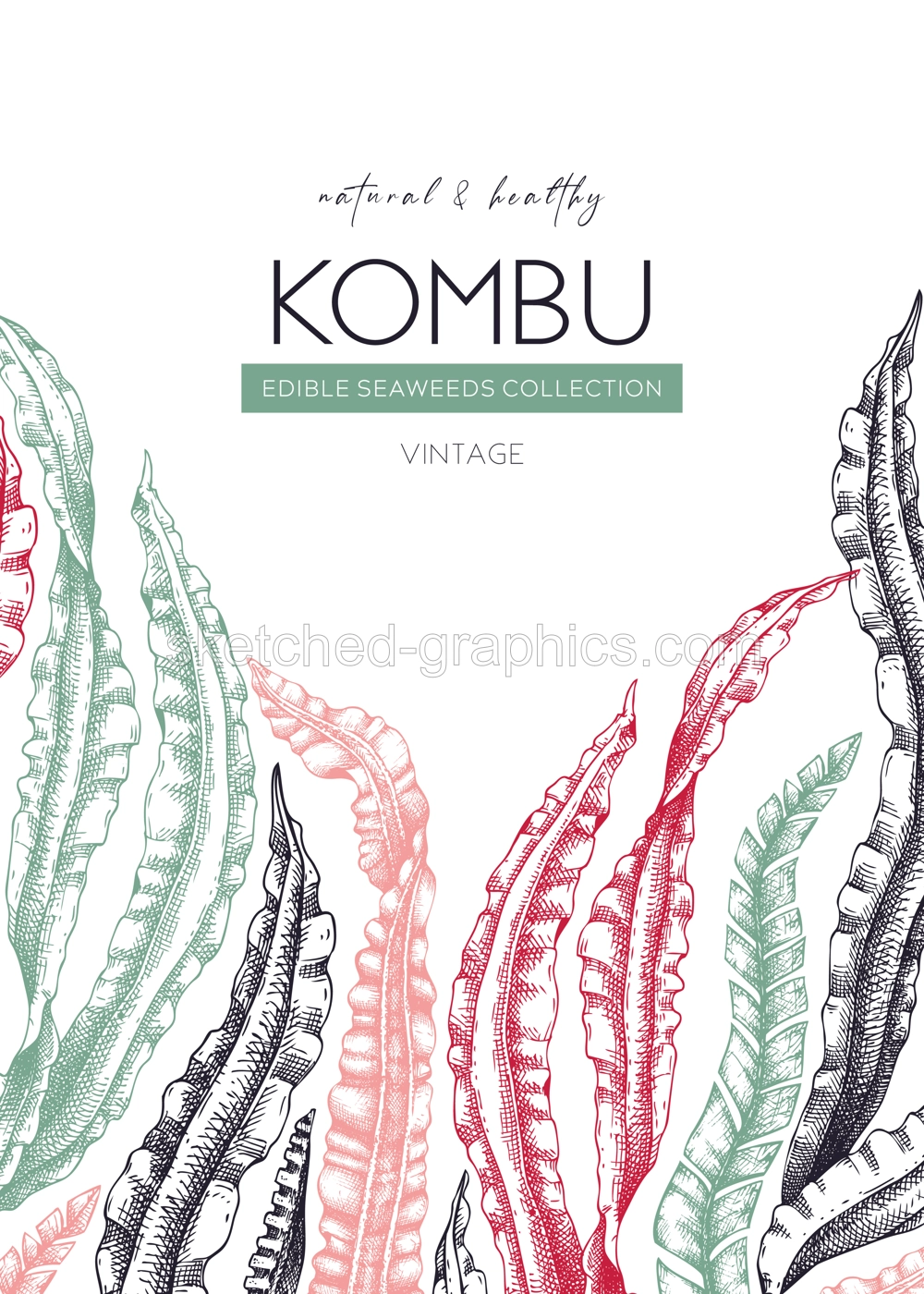 Hand drawn Kombu card design. Laminaria botanical frame. Seaweed drawing isolated on white background. Healthy food ingredients illustration. Wedding invitation template in color Illustration